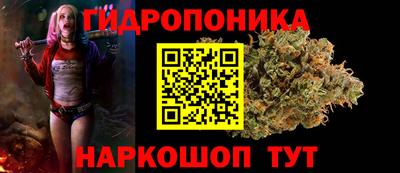 гидра Азнакаево