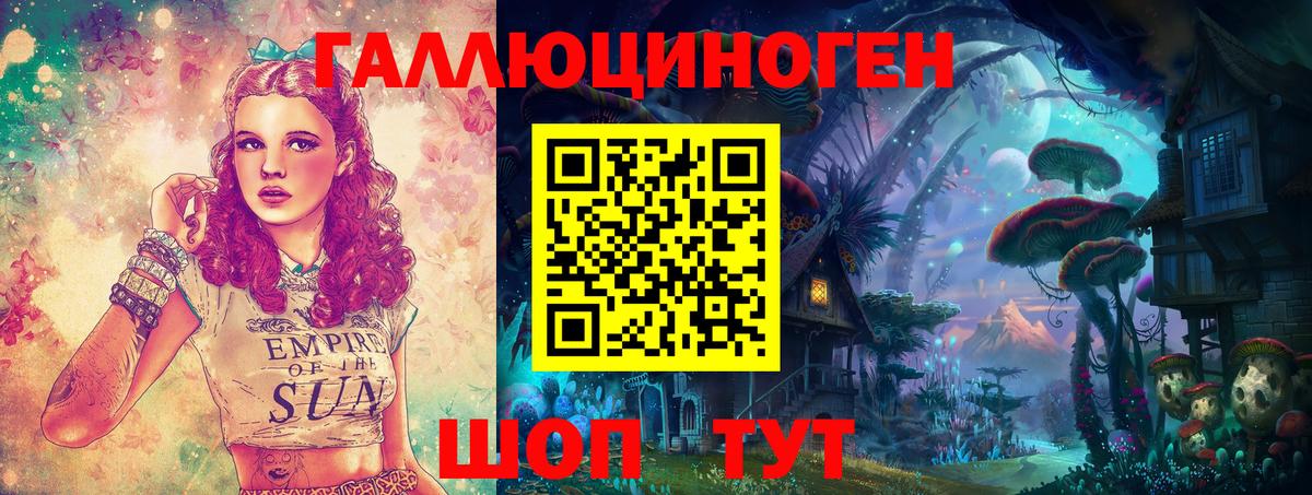 Псилоцибиновые грибы Cubensis  Анапа  Галлюциногенные грибы Psilocybine cubensis 