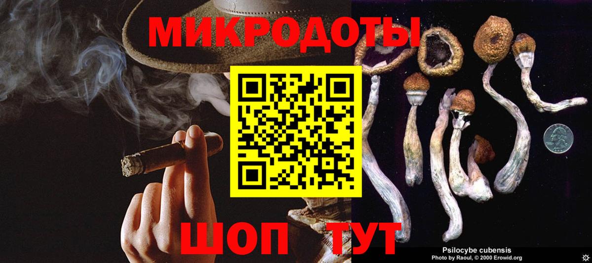 Анапа  Галлюциногенные грибы Magic Shrooms  купить   Вход с VPN  Псилоцибиновые грибы Cubensis 