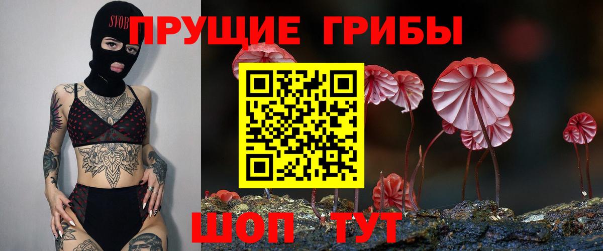 Галлюциногенные грибы Psilocybine cubensis Анапа