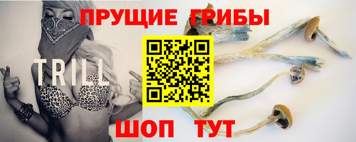 Псилоцибиновые грибы Анапа