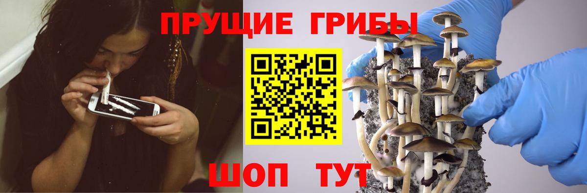 Псилоцибиновые грибы Magic Shrooms Анапа